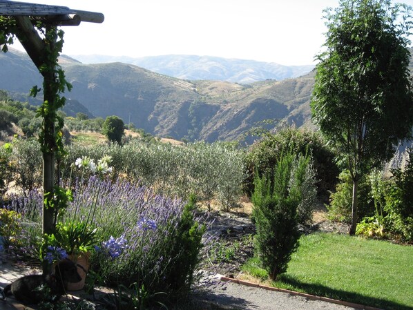 A garden with lavender and other plants, a small tree, and a view of distant mountains. - Garden apartment in the heart of the countryside, close to local villages. (Pórtugos)