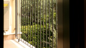 A balcony with a metal railing overlooking a dense green area. - CASA GIULIA in BORSO DEL GRAPPA A holiday full of sport (Borso del Grappa)