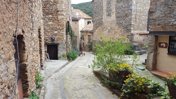 Un carrer empedrat i estret, flanquejat per edificis de pedra, amb una petita zona de jardí plena de flors grogues.