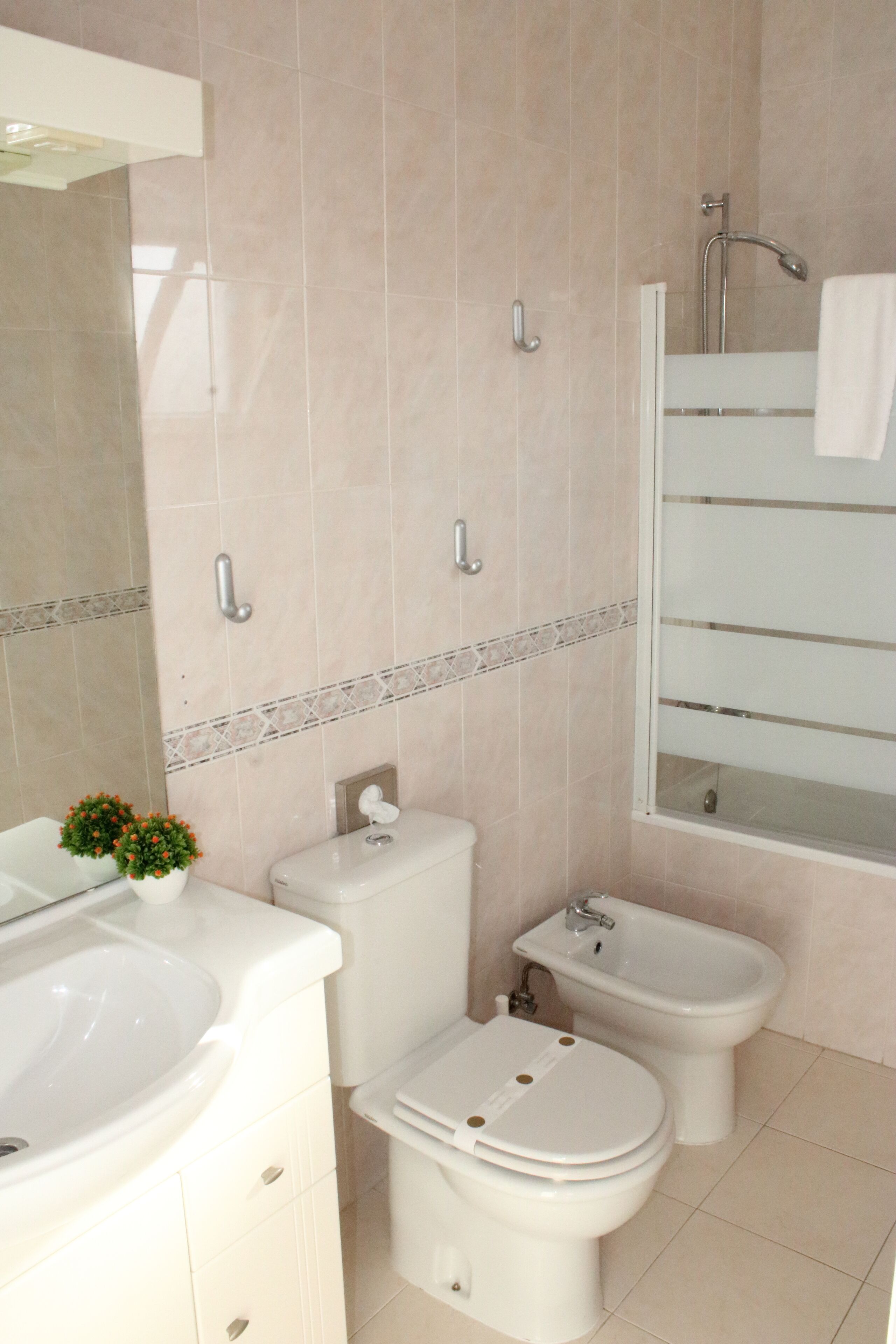 Combined shower/bathtub, hair dryer