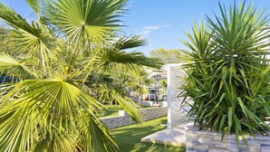 A well-maintained garden with palm trees and a stone wall. - Villa with pool for discerning connoisseurs (Bagnols en foret)