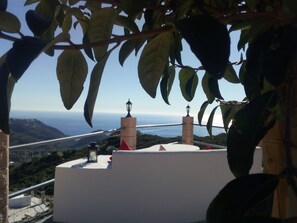 Property grounds - Casa Concha, an oasis in a unique location and stunning sea views (Nerja)