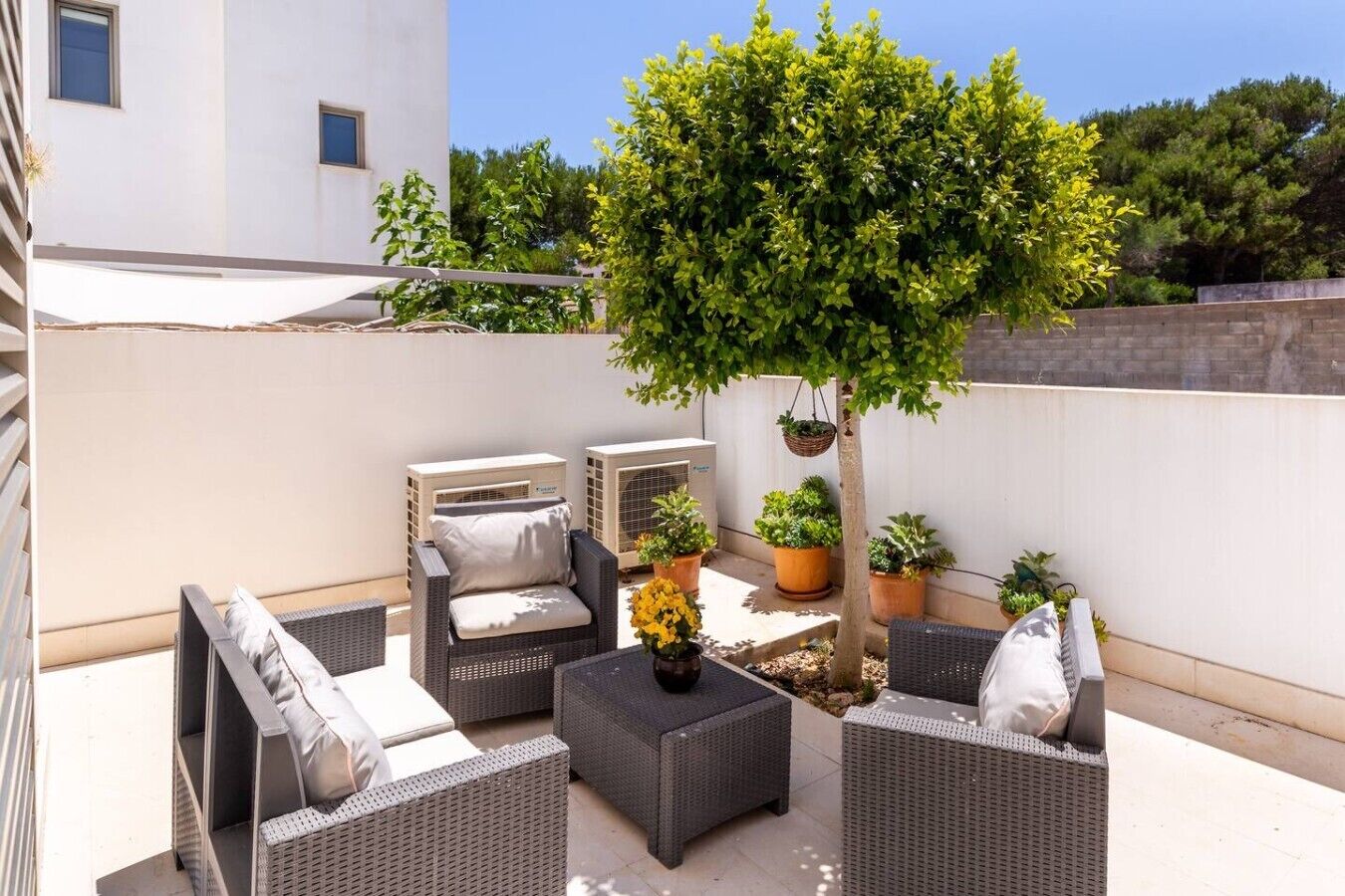 Un área de patio al aire libre con mobiliario de mimbre, un árbol y plantas en macetas.