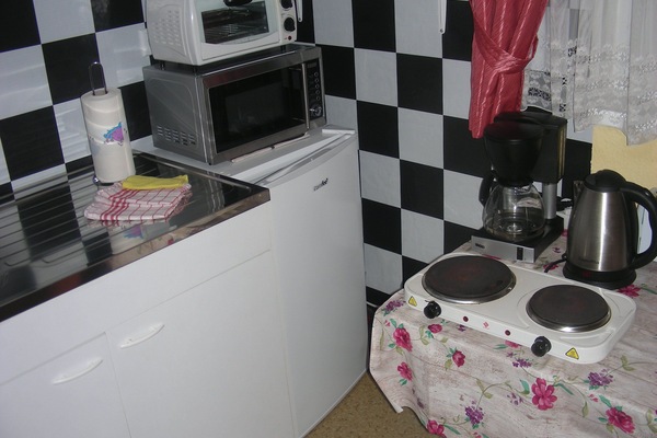 Frigorífico, microondas, horno y placa de cocina