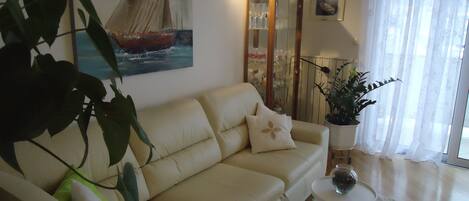 TV, DVD player, books, video library