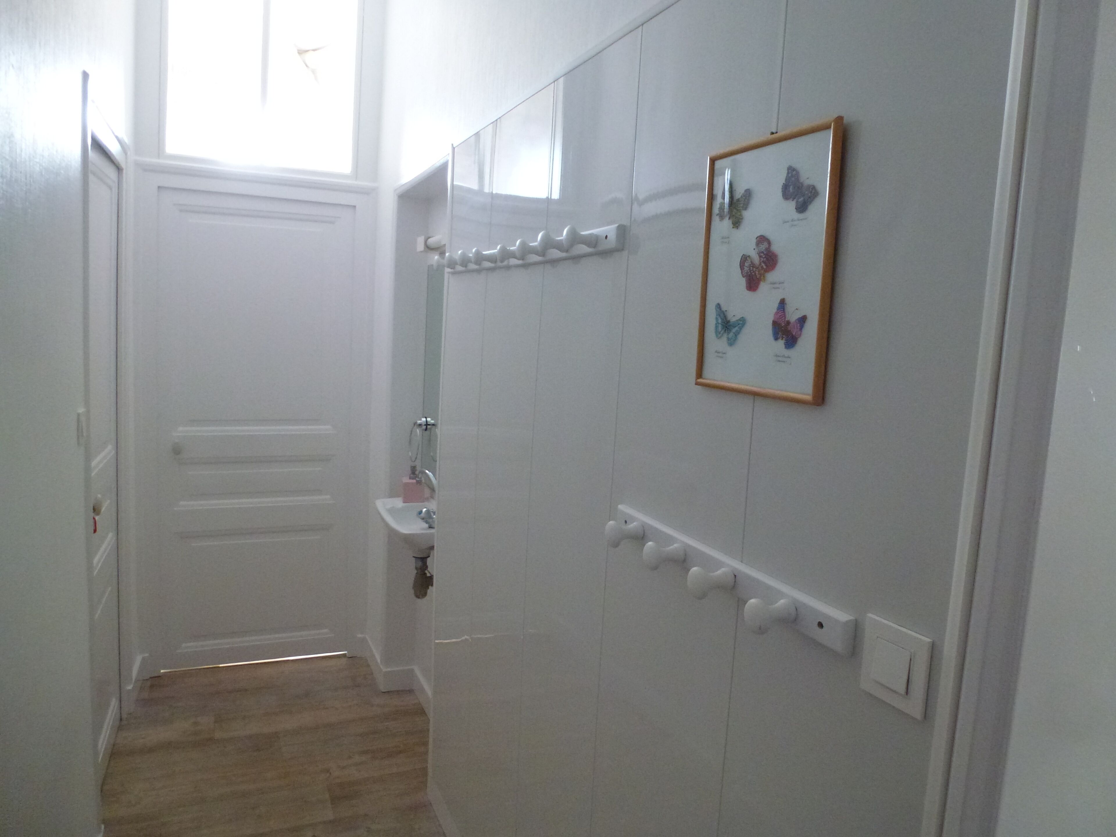 Un corridoio stretto con una porta bianca, un piccolo lavandino e una mensola a parete decorata con farfalle.