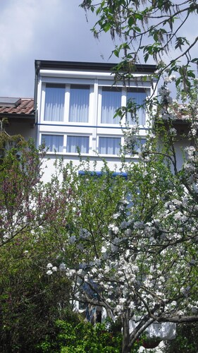 Neu eingerichtete, zentrumsnahe Wohnung mit schönem Ausblick