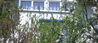 Newly furnished apartment close to the center with a beautiful view