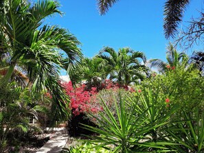 Property grounds - Sapotille Bungalow in nature 2 minutes from the sea (Saint-François)