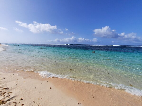 بالقرب من الشاطئ