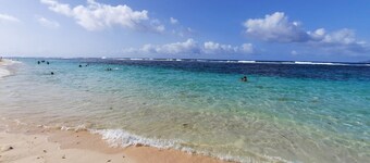 Mango bungalow in nature near the sea