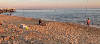 House feet in the sand, nature forest and beach on foot, Saint Palais/mer