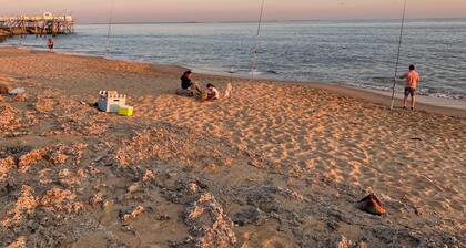Saint Palais Strandhaus zu Fuß der Grande Côte, im Herzen der Kiefern, 5 Personen