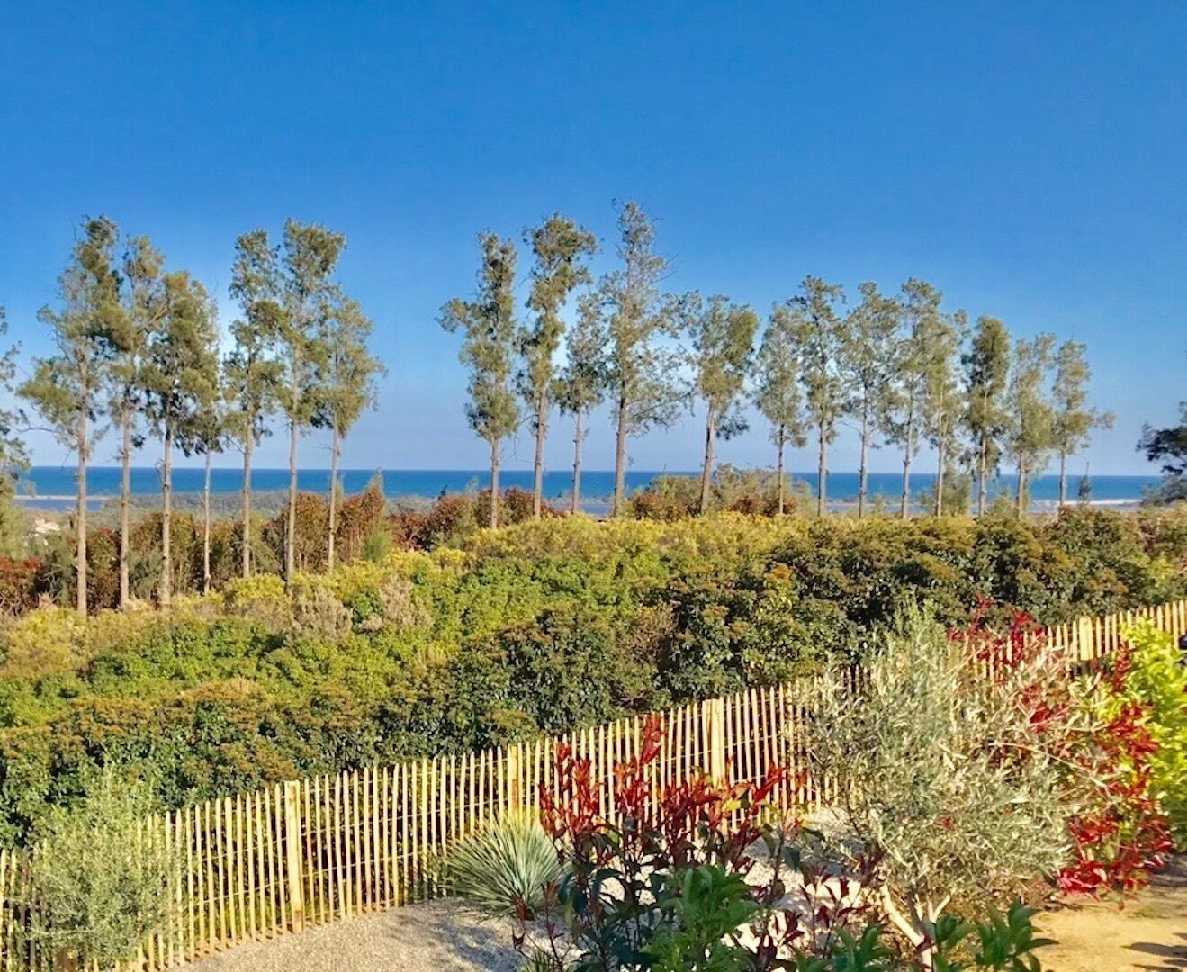 Áreas de la propiedad