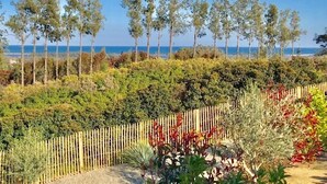 Un jardin où l’on trouve une grande variété de plantes, entouré d’une clôture en bois.