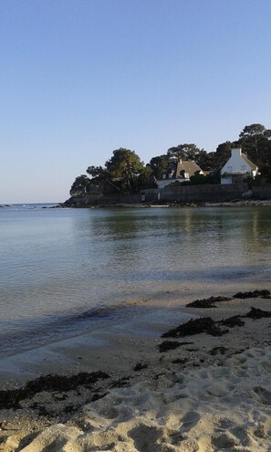 Escena costanera amb una platja sorrenca, aigua tranquil·la i una filera de cases amb arbres.