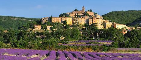 Uma cidade histórica com edifícios numa colina, rodeada por vegetação exuberante e campos de lavanda.