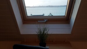 Ventana de tragaluz con vistas a una masa de agua y edificios lejanos.