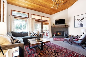 Smart TV, fireplace, books, music library