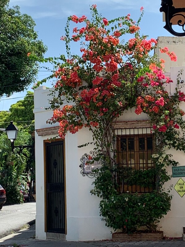 Exterior - Callejon De Regina@Zona Colonial (Zona Colonial)