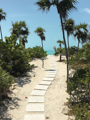 Un sendero arenoso que conduce a una playa con palmeras y cielo azul despejado.