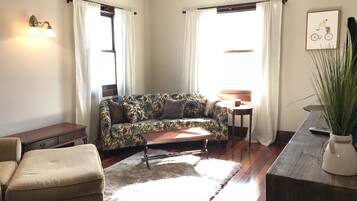 智能电视、壁炉、DVD 播放器