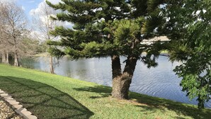 Une zone herbeuse bien entretenue, bordée de pierres, avec un grand arbre à feuilles persistantes et une étendue d’eau calme.