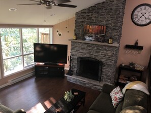 Una Smart TV, una chimenea, un reproductor de DVD, libros