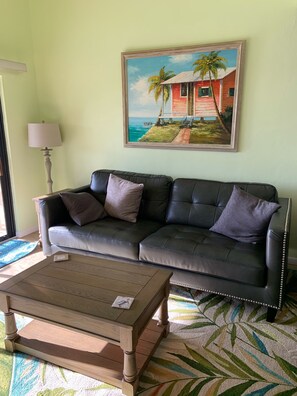 智能電視、電腦螢幕