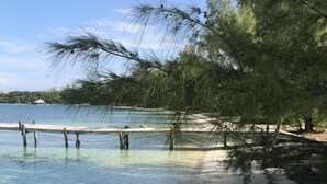 Une plage à l’eau claire, une jetée en bois et un sentier bordé d’arbres.