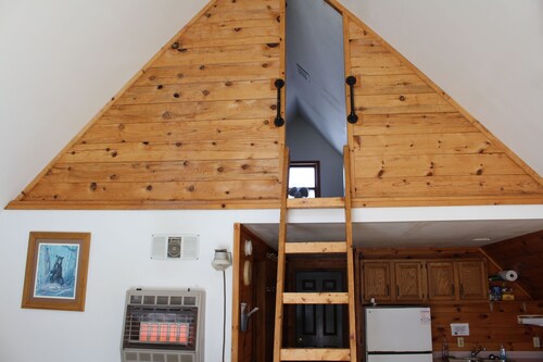 Delightfully a Frame Cabin #2