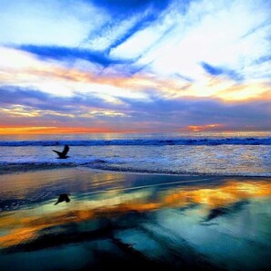 Playa en los alrededores, camastros y toallas de playa 