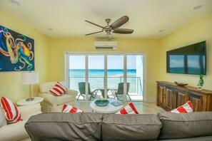 Smart TV, reproductor de DVD y libros 