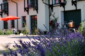 Property grounds - Landhaus Masurische Schweiz (Kowale Oleckie)