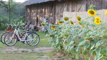 Ciclismo