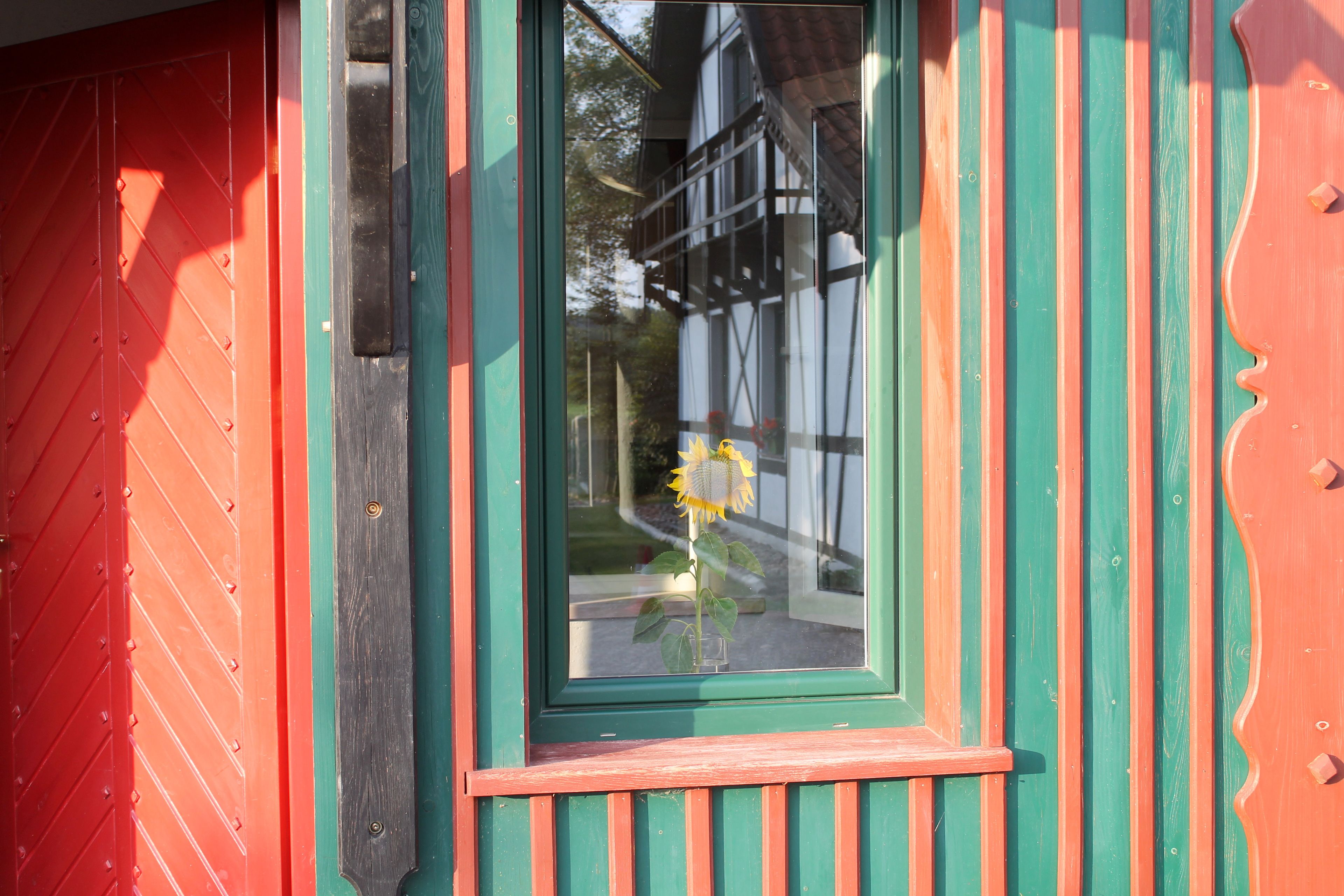 A window with a sunflower, a red door, and a green and red striped wall.