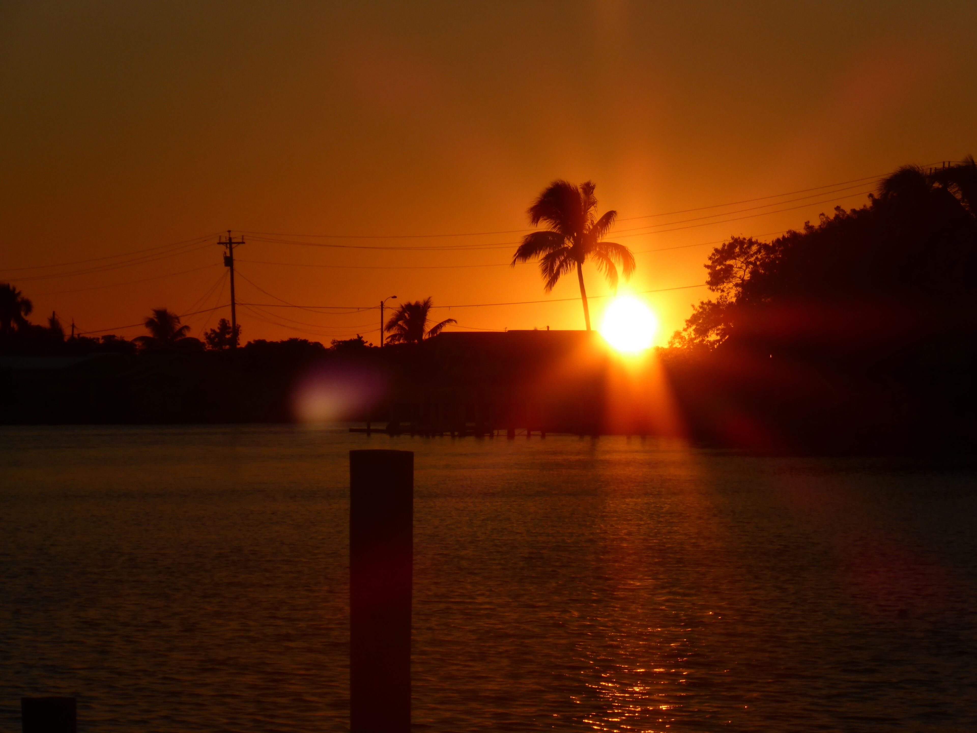 Un coucher de soleil sur une étendue d’eau, avec la silhouette d’un palmier et un poteau électrique.