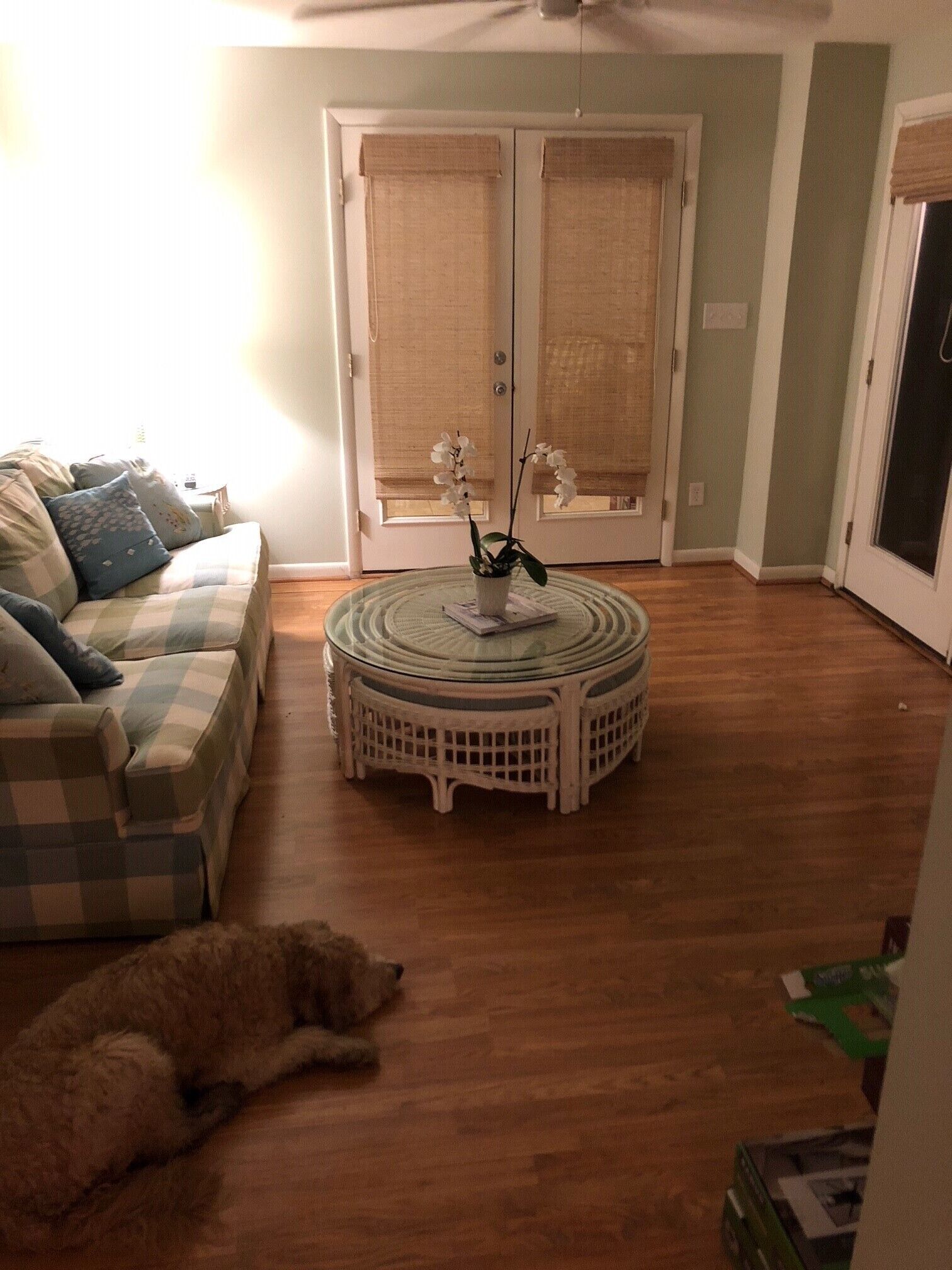 Un salon avec un plancher en bois, une table basse ronde ornée d’une plante, un canapé avec des coussins et un chien allongé sur le sol.