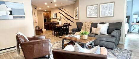 TV connectée, cheminée, livres