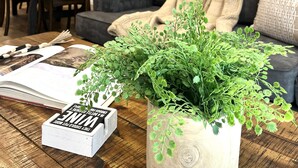 A living room with a gray sofa, a wooden coffee table with a book and a plant, and a dining area in the background. - Steps from the Mountain, in the iconic Old Town of Park City-2BR/2BTH Condo  (Park City)