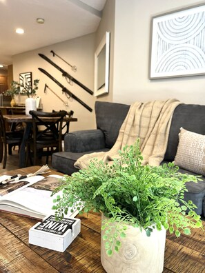 Smart TV, fireplace, books