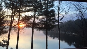 En vy över en stilla sjö med träd i förgrunden och en brygga med båtar i bakgrunden.