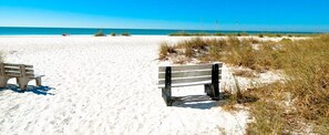 Plage à proximité, chaises longues, serviettes de plage
