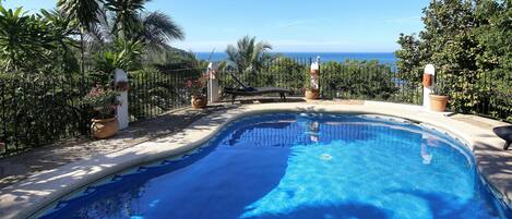 A swimming pool with a view of the ocean, surrounded by palm trees and a metal fence.