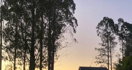Firelight, vuoret, tähdet ja kotitekoinen aamiainen