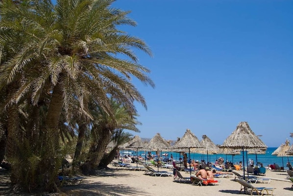 A beach with palm trees, thatched umbrellas, and people relaxing on sun loungers.