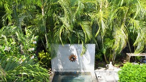 Una pequeña piscina de piedra rectangular con una estatua en el centro, rodeada de abundante vegetación y un muro de piedra.