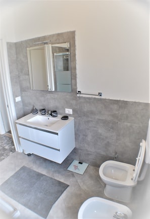 Shower, hair dryer, bidet, towels