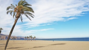Een strand met palmbomen en een heldere lucht.