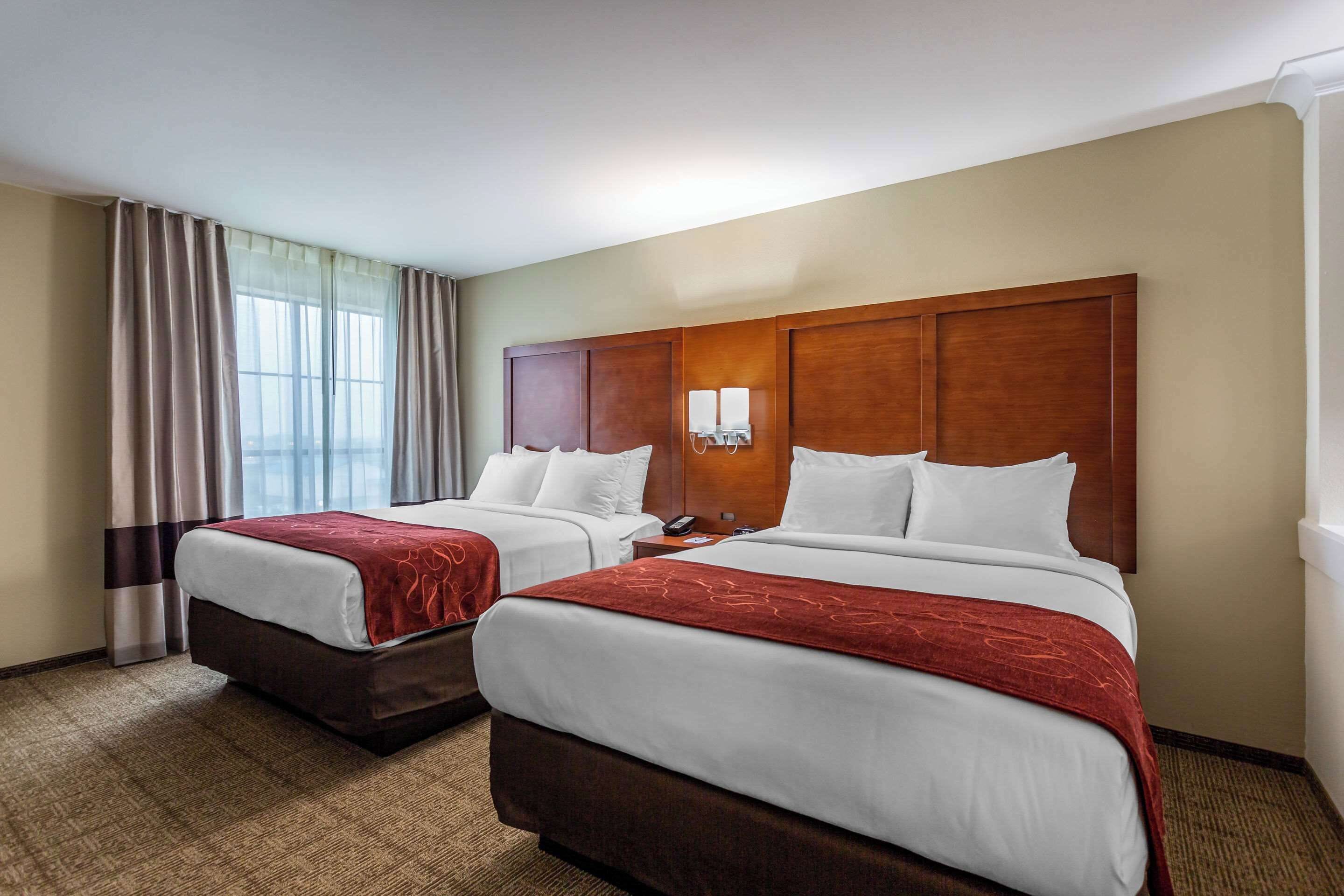 suite 2 queens non smoking 2 person sofabed | down duvets, pillow-top beds, desk, laptop workspace